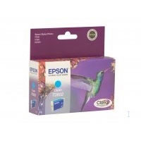 Epson C13T080240